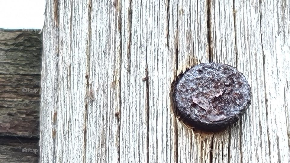 rusted nail in wood