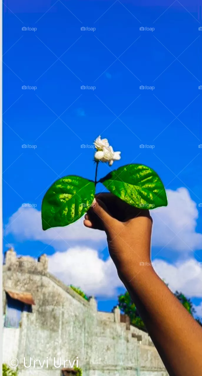 Flower🥀☁️
