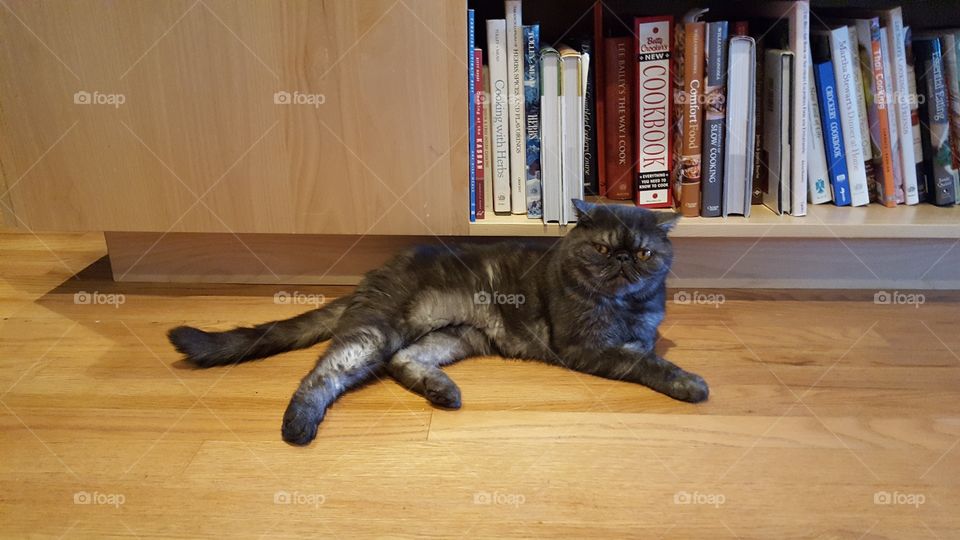 Norman resting with his books