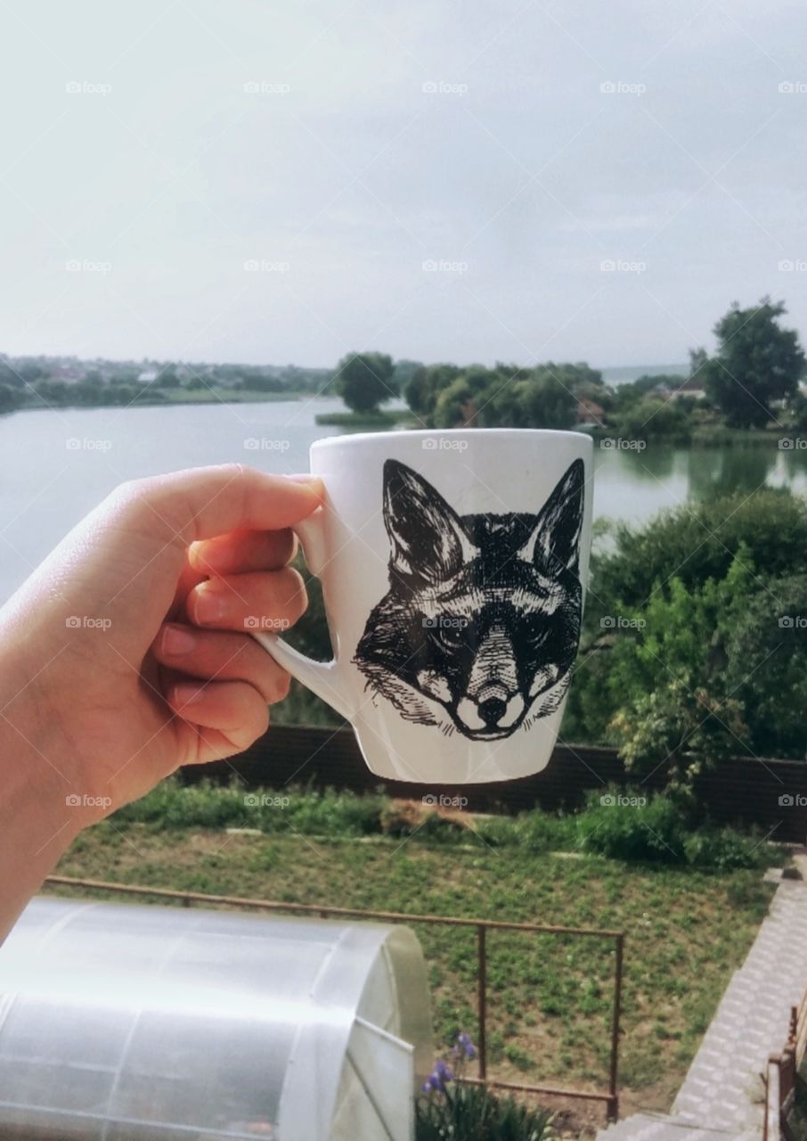 cup with fox