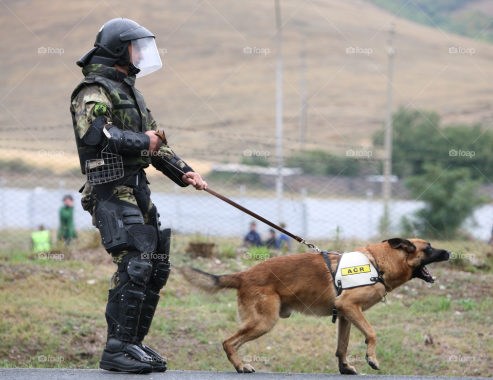 training exercise in e europe czech k9 unknown type of dog by camcrazy