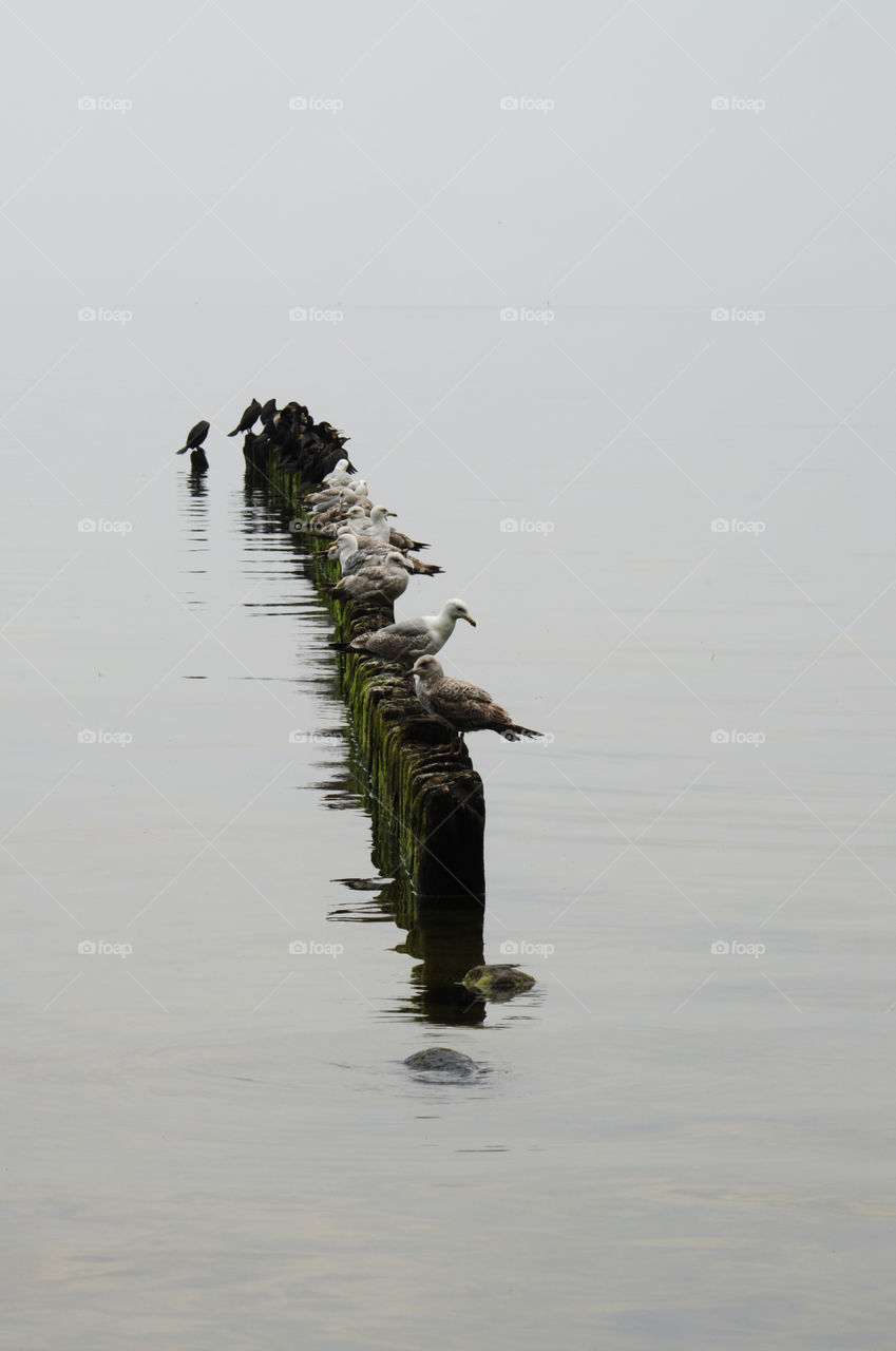 grey day at the Baltic sea coast in Poland