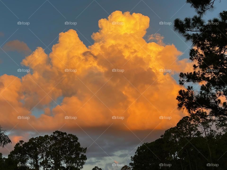 Big fluffy cumulus cloud bursting with the sunset’s light.