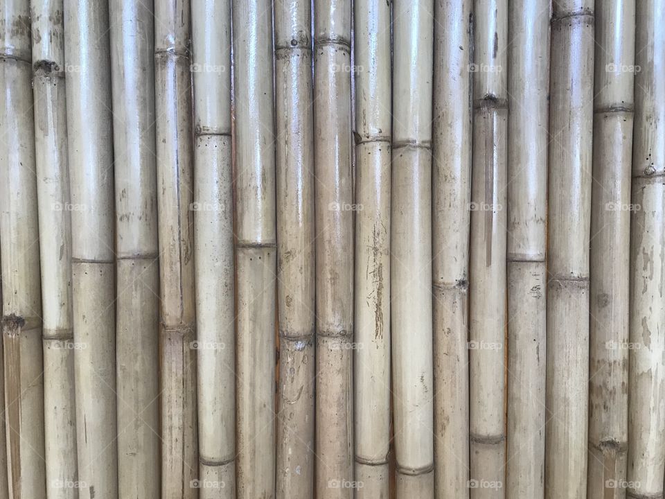 natural brown bamboo wood trunks attached together as a wall in full frame shot
