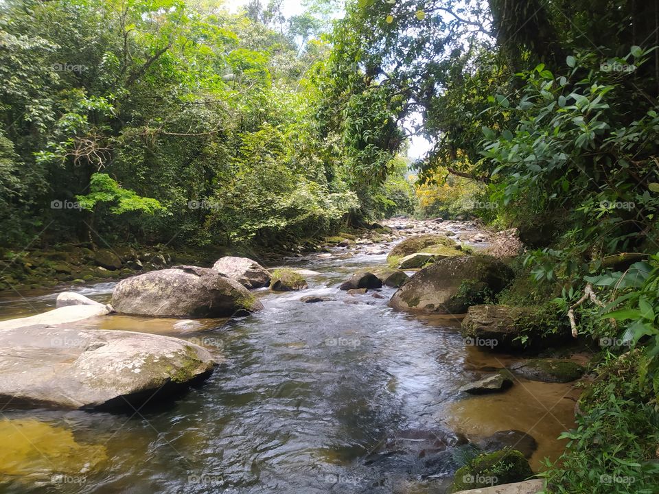 Natureza no litoral norte brasileiro