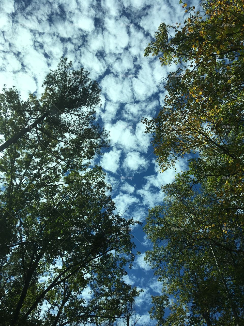 Fall skies at Red River Gorge