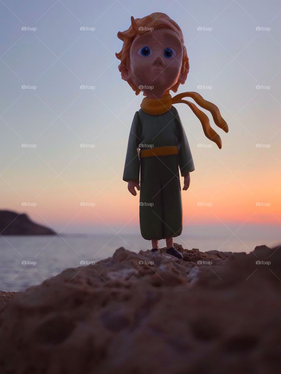 The little prince 