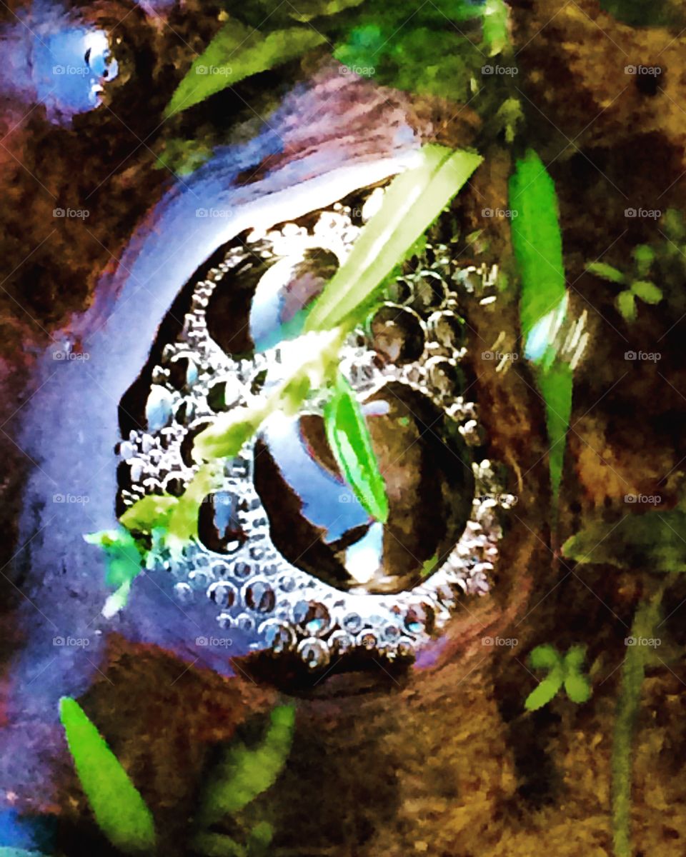 While out on a hike I noticed these bubbles floating down a small stream. As I bent down to take the photo I realized several interesting groups of bubbles were making their way along. It's neat what one can observe if the time is taken to slow down, really observe and appreciate the surroundings. Nature's bubbles...who'd have thought?