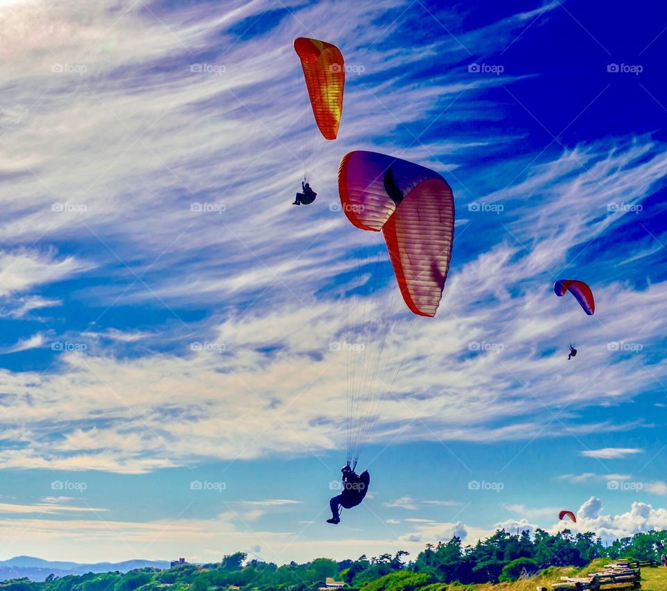 Paragliders fill the summer sky - summer fun