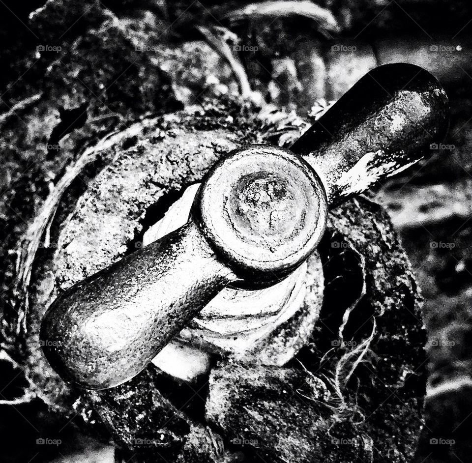 metal old close up rusty by hannahdagogo