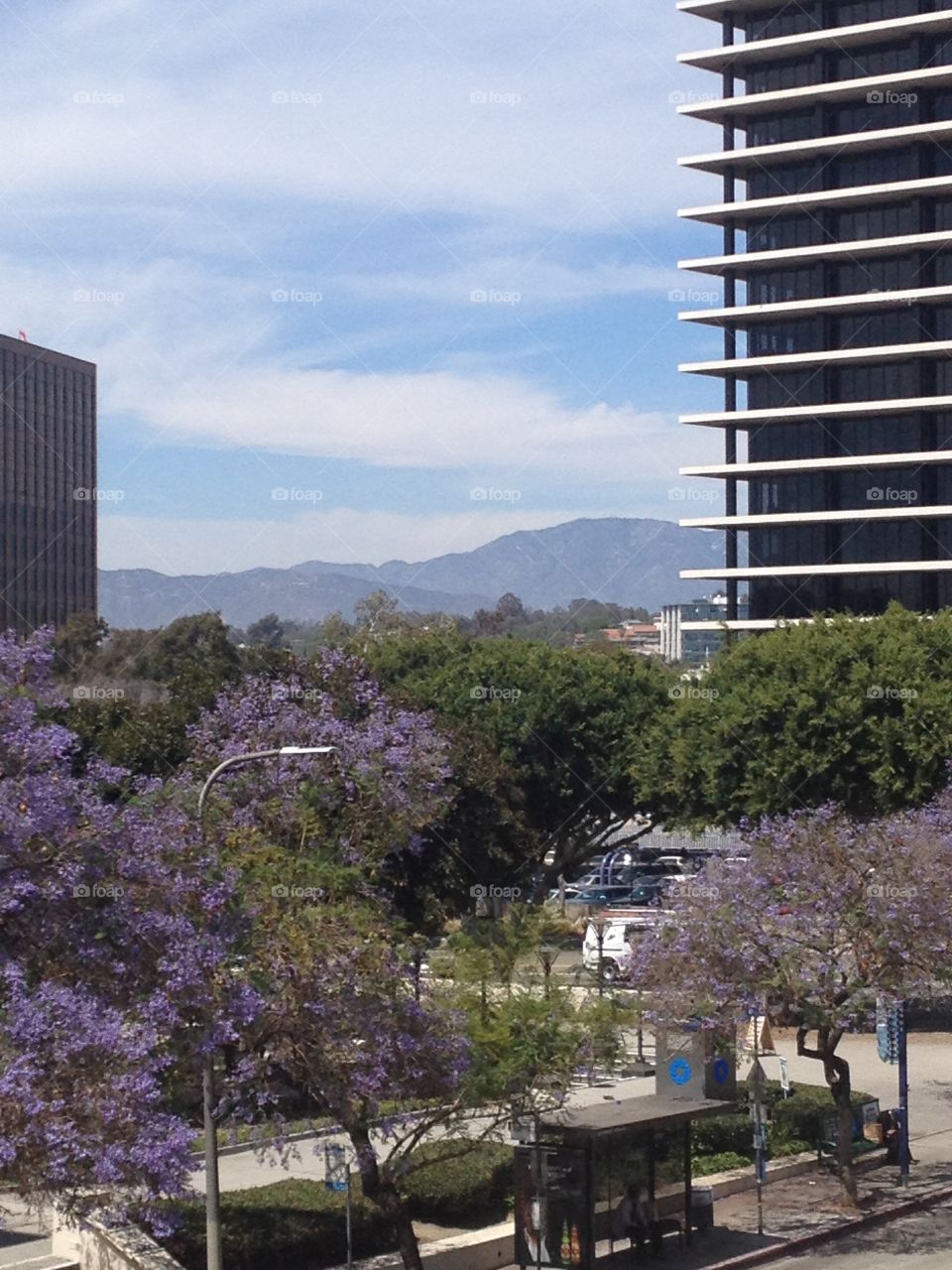 View from Disney Music Hall
