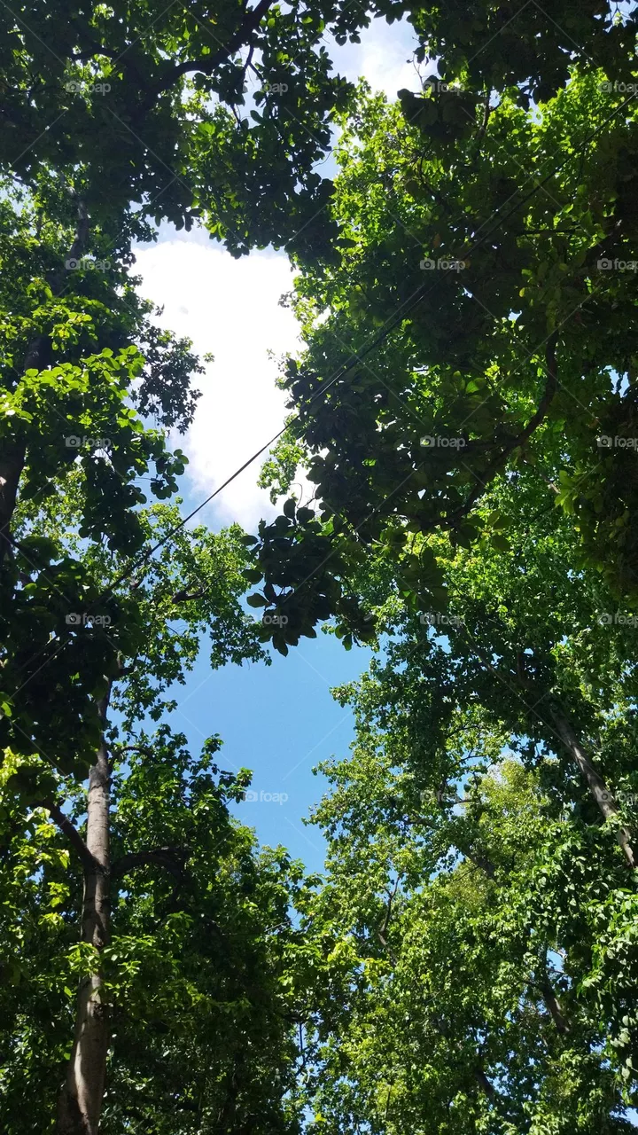 clouds