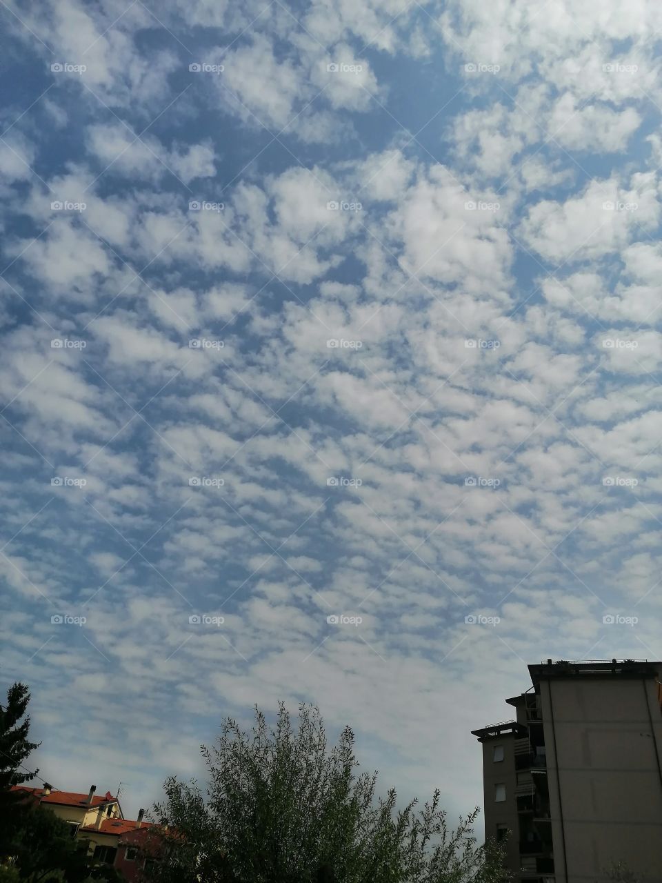 Blue sky cloud