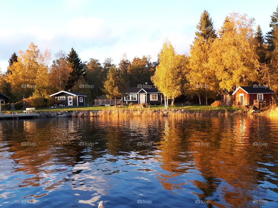 Autumn