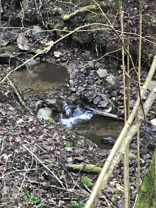 Wasser, Fluss