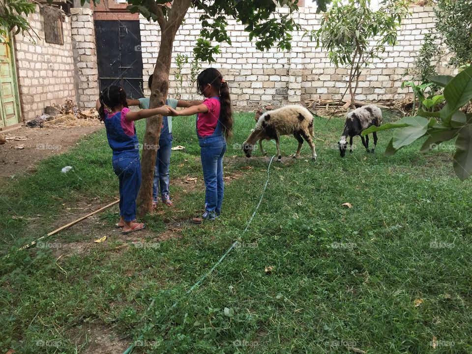 Playing in the backyard 