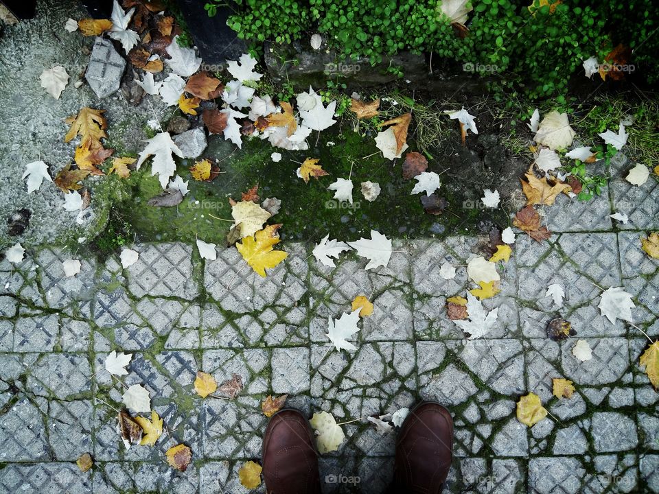 Half foots in Autumn season