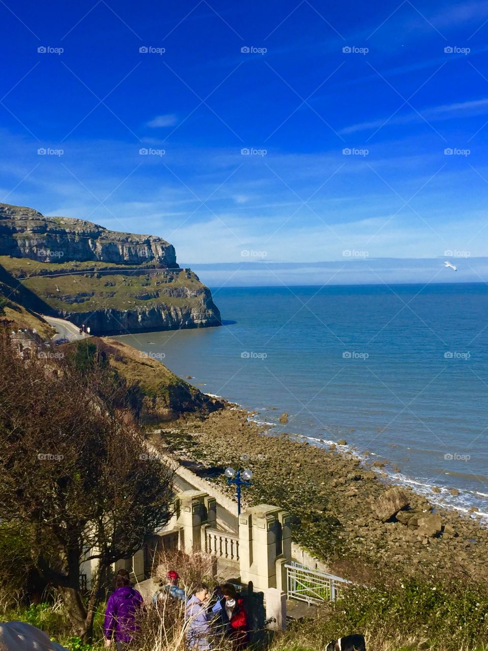 Nature  in North Wales