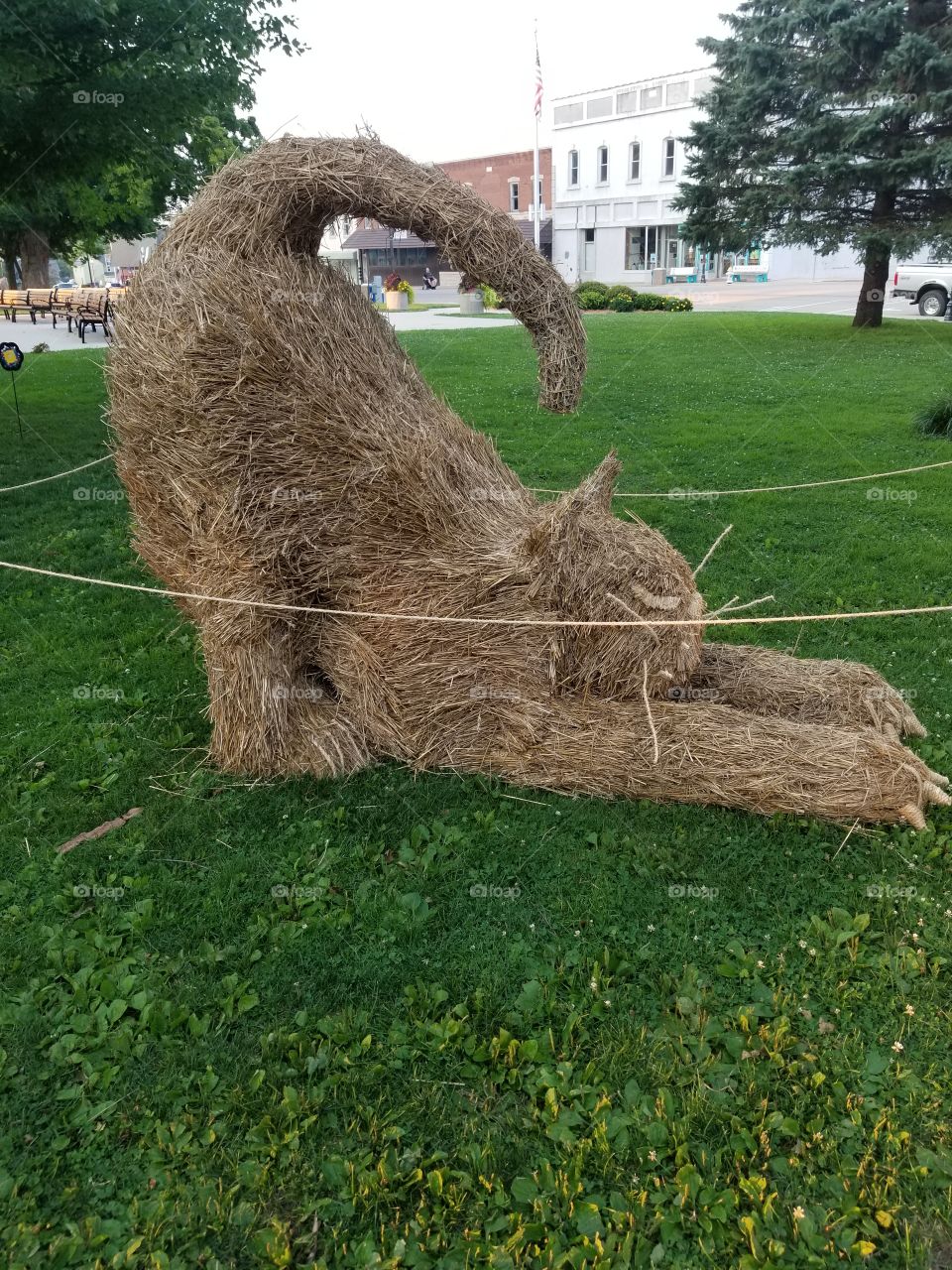 stretching straw cat