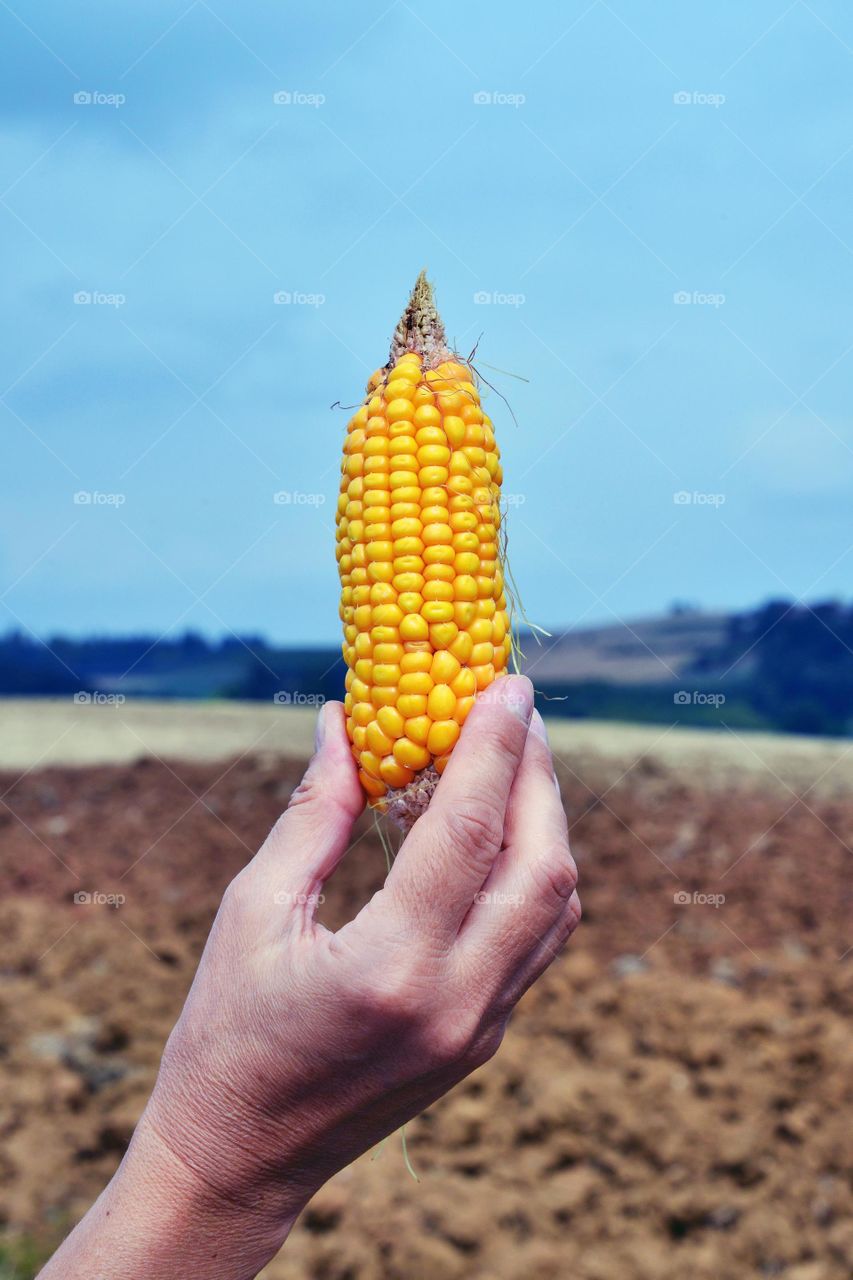 Man holding corn