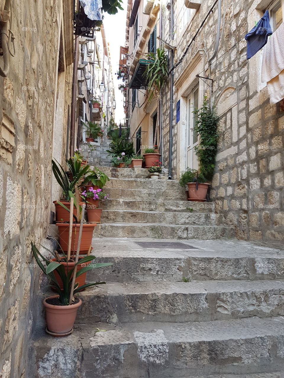 Looking up at old architectural homes up tall staircase touring in Dubrovnik, Croatia, Europe