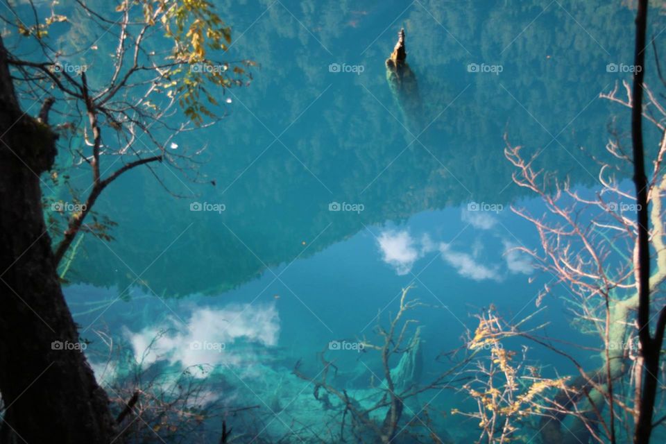 tree stump & reflection. lake in China