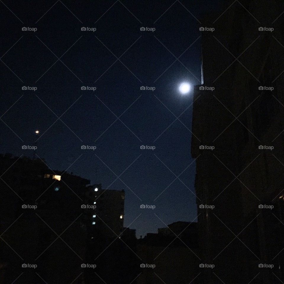 Night moon
