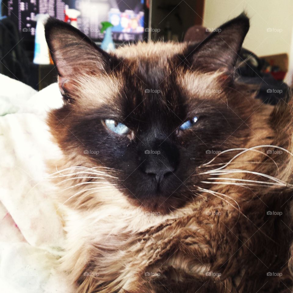 Discerning Face Is Quite Discerning Of You.