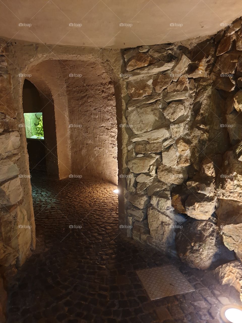 Palmengarten Frankfurt