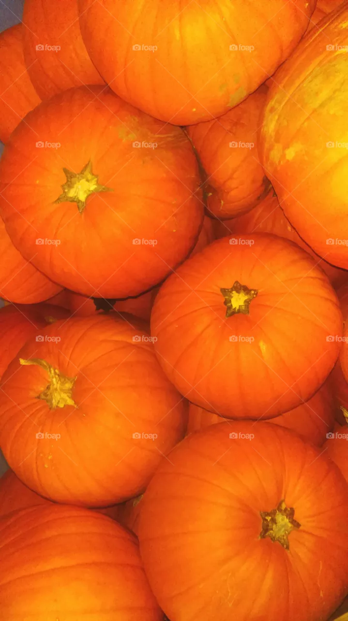 pumpkins