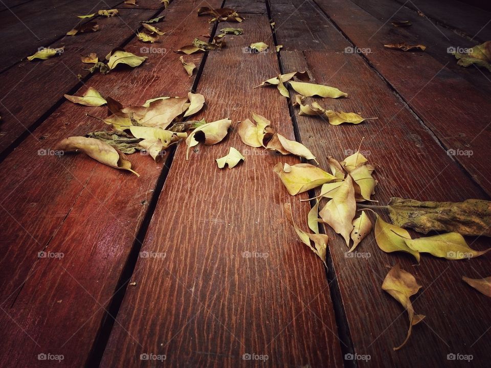 Dry leaves on the wooden floor. details of Dry leaves on the wooden floor