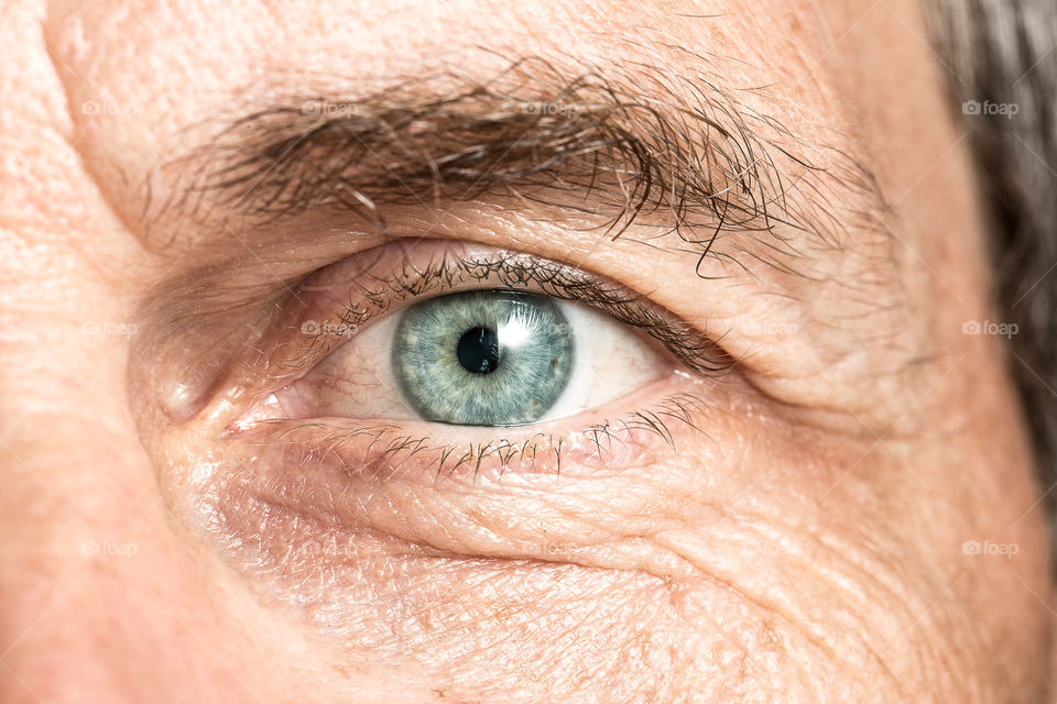 Face, Eyesight, Eyeball, Portrait, Elder