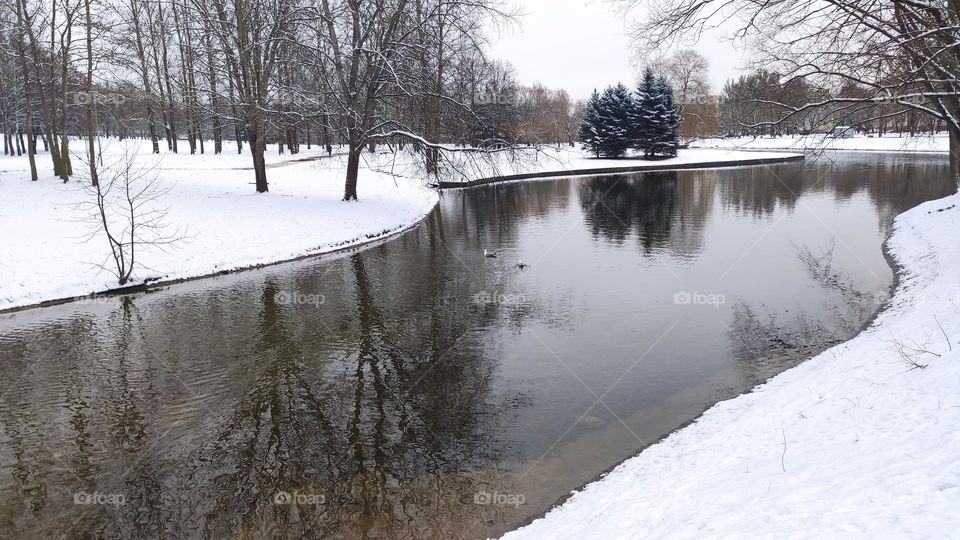 Winter landscape, river in the park.