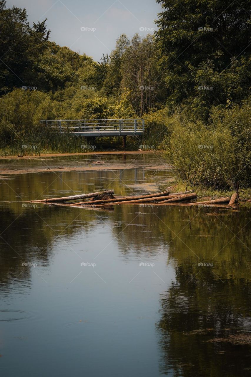 tranquility in a conservatory park