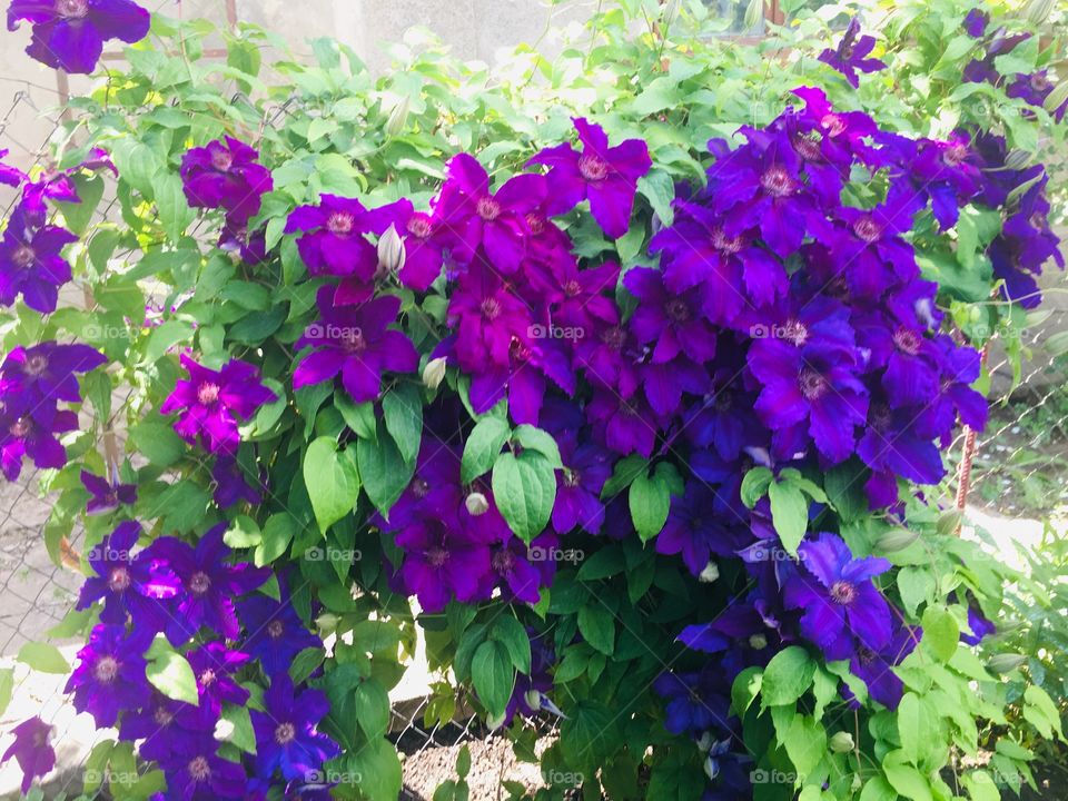 Как вам такие цвета?