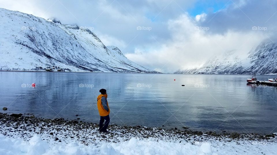 Beautiful Winter landscape