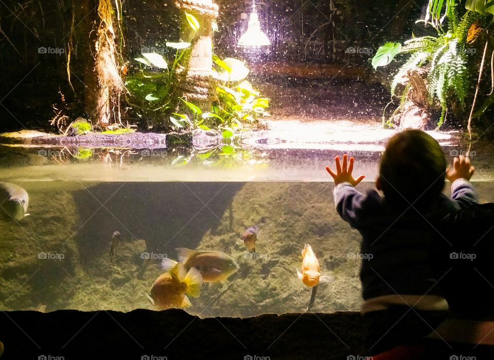 Pretty Fishes / Aquarium Visit