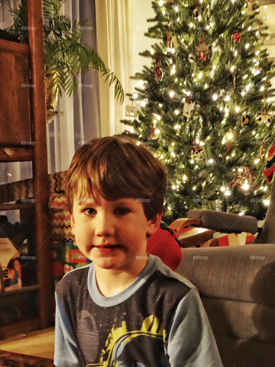 Boy With Christmas Tree
