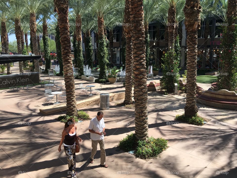 Palm trees and water fountains.