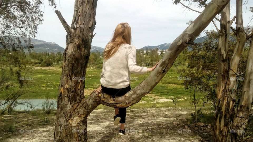 Sitting on tree branch looking at landscape