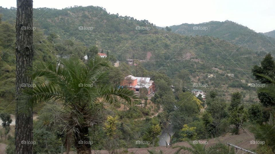 Solan ,India