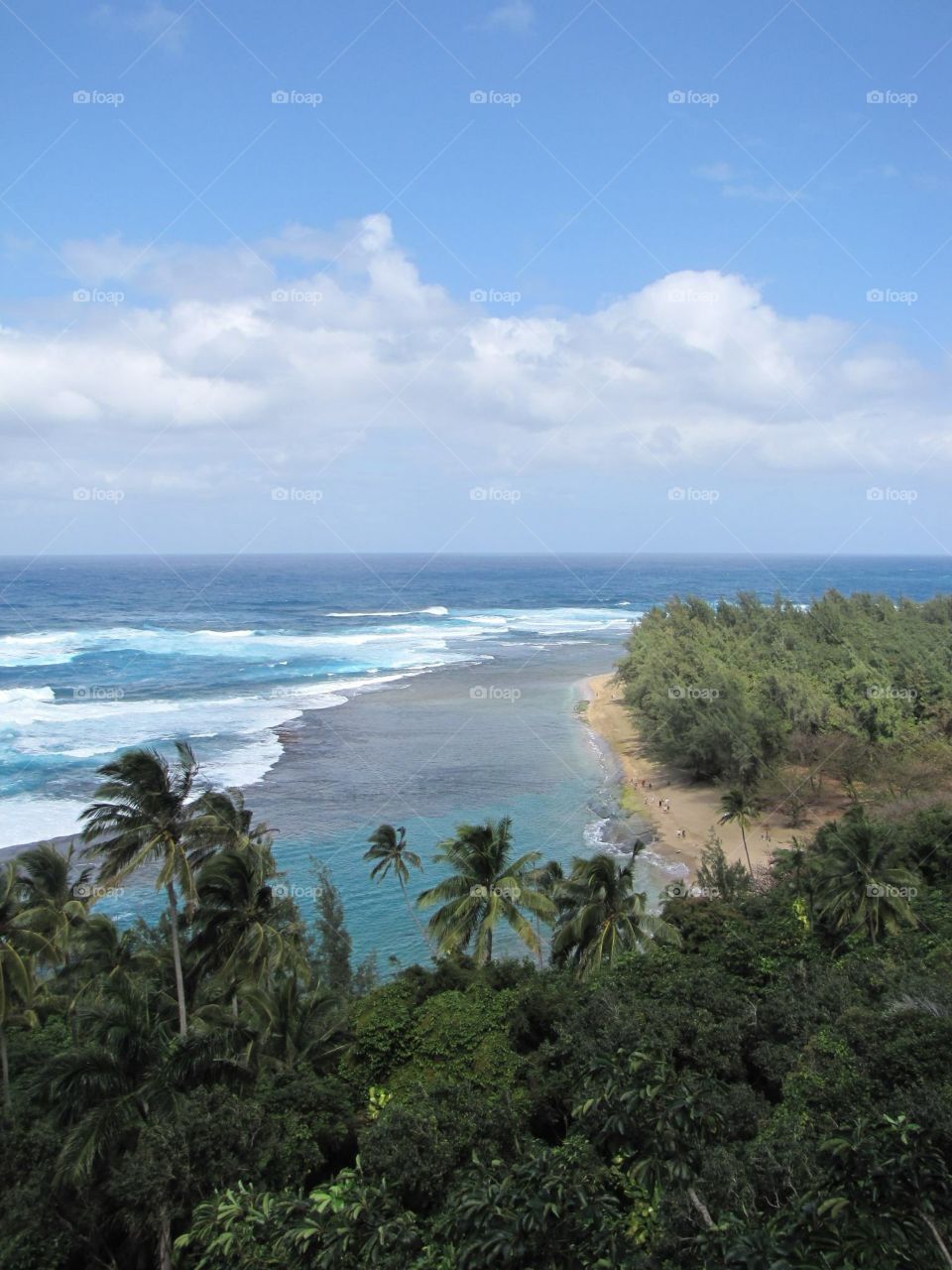 Oahu 