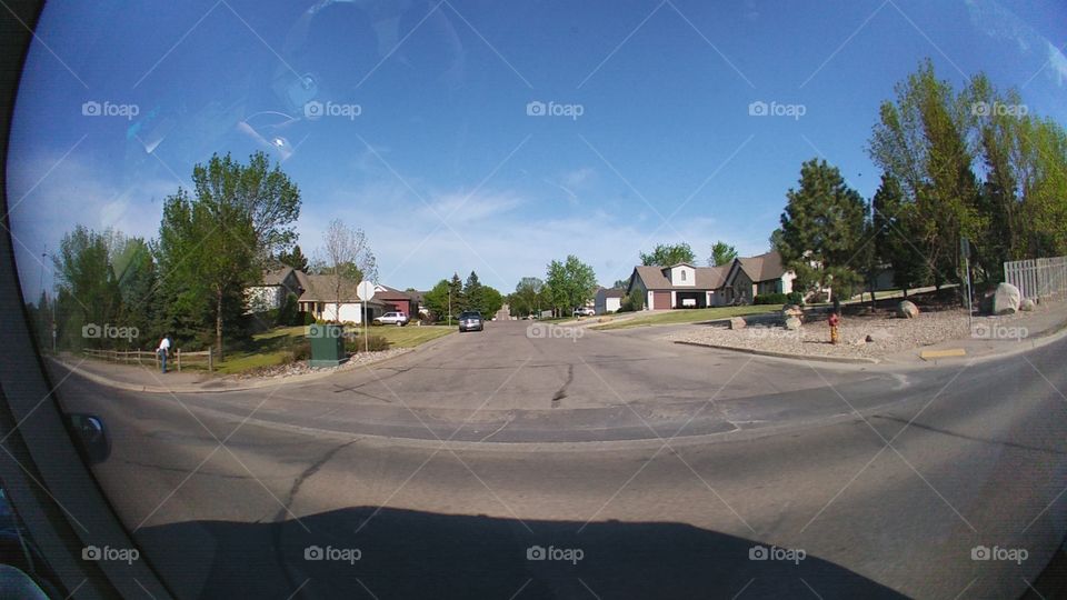 Road, Street, Tree, Landscape, Guidance