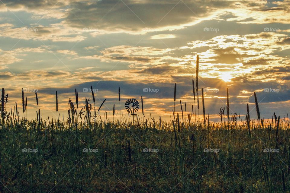 Sunset by the mill