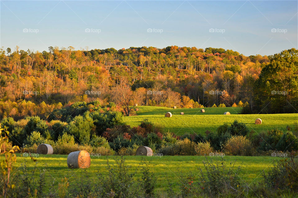 Autumn hills and hay fields