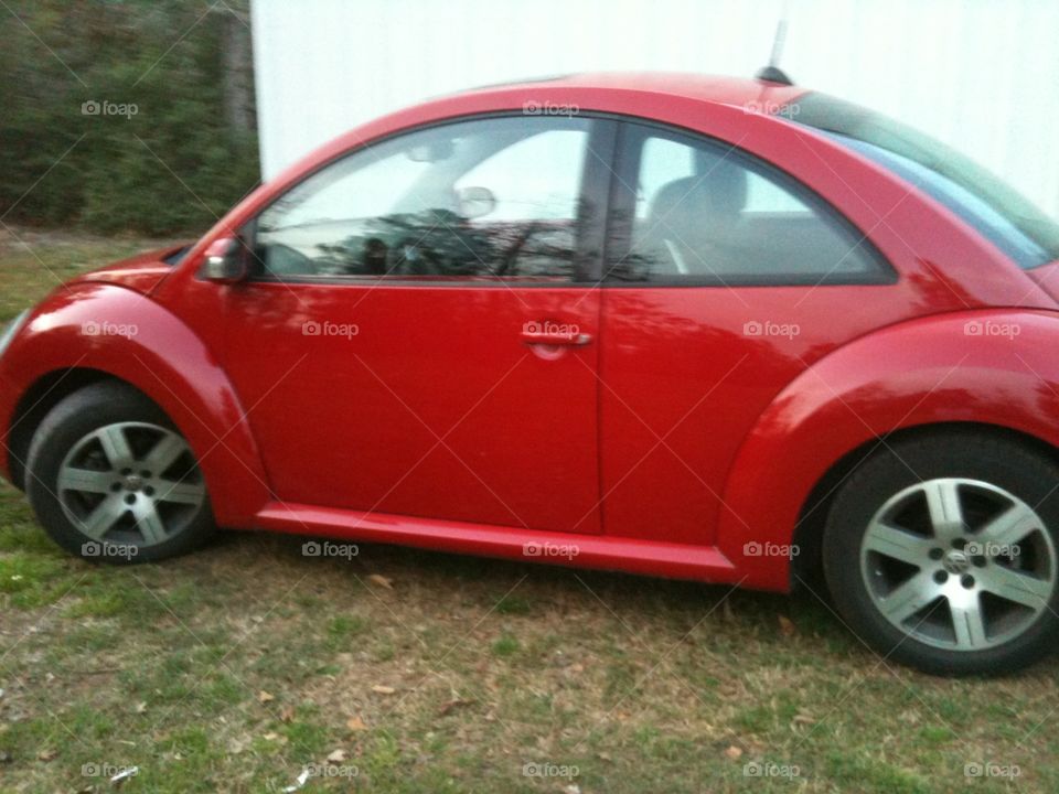 little red bug