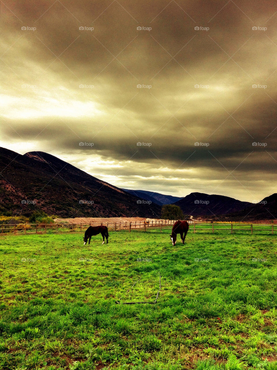 green field mountain clouds by calvinkay