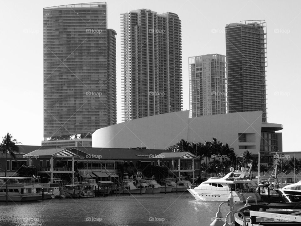 Downtown Miami 