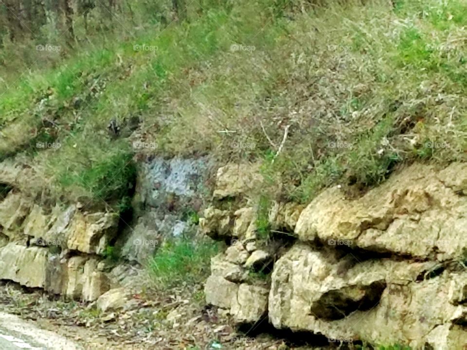 Driving the back Roads and enjoying everything around us