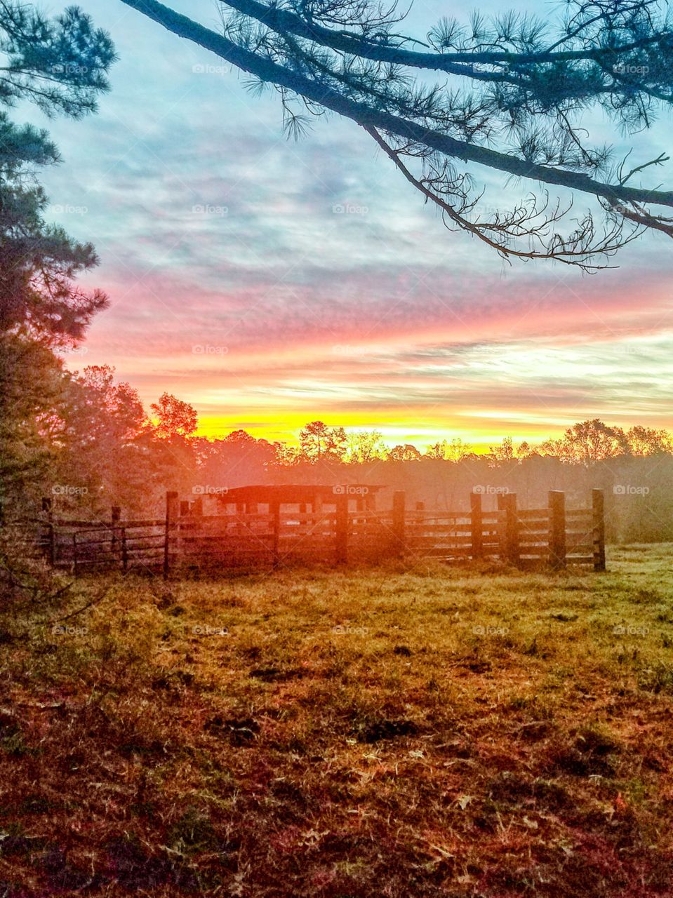 Alabama sunrises
